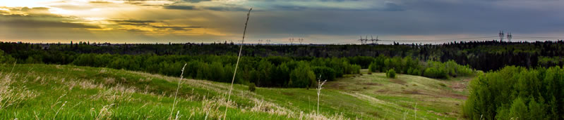 South Ekos in Larch Park Edmonton